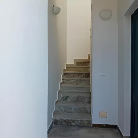 Ntelis