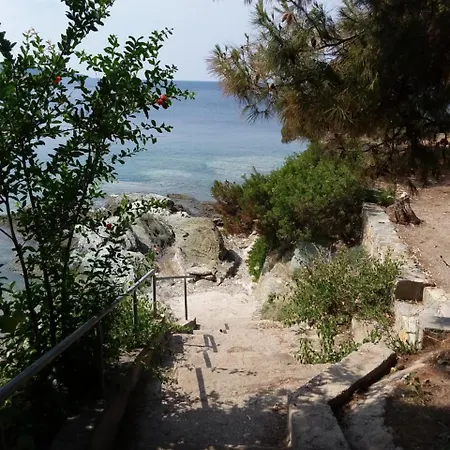 Ntelis